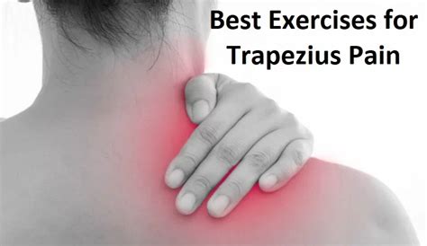Best Exercises For Trap Muscles Archives Samarpan Physiotherapy