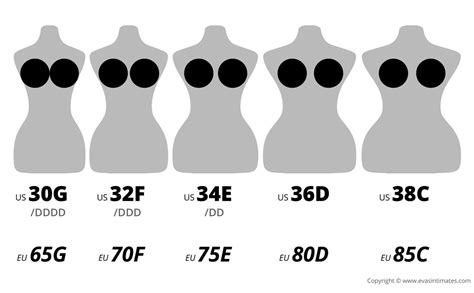 Cup Breast Size Chart Pictures