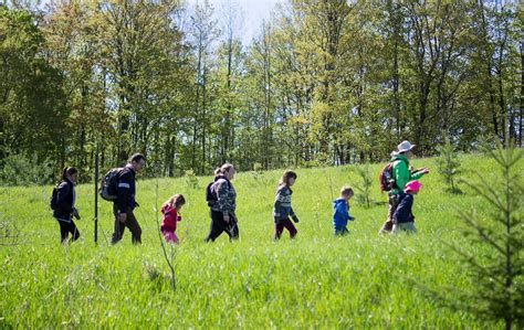 Kids Hikes Caledon Hills Bruce Trail Club