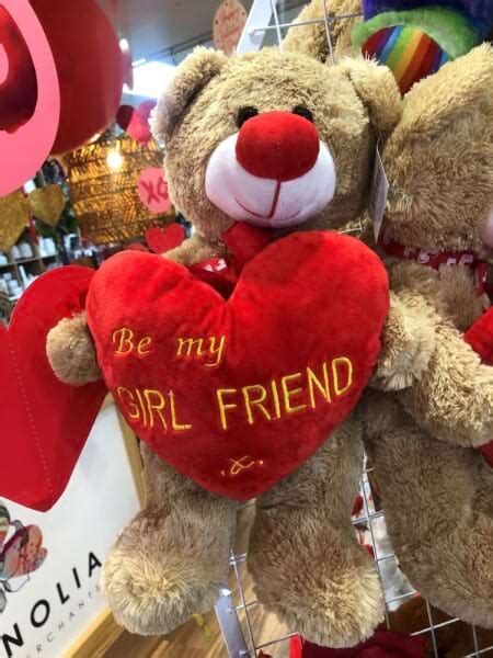 Teddy Bear Girlfriend Heart