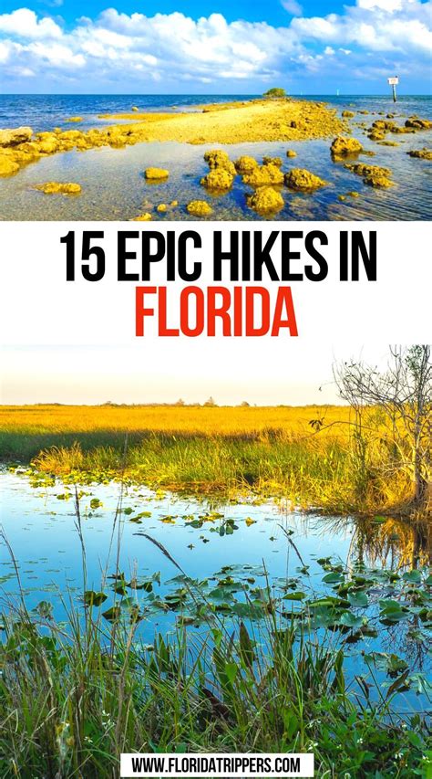 15 Epic Hikes In Florida Hiking In Florida Florida Trail Florida Usa