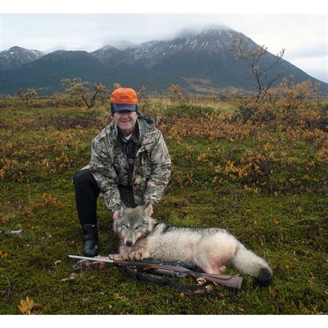 6 Day Alaskan Wolf Hunt For Two Hunters Includes Taxidermy For Two