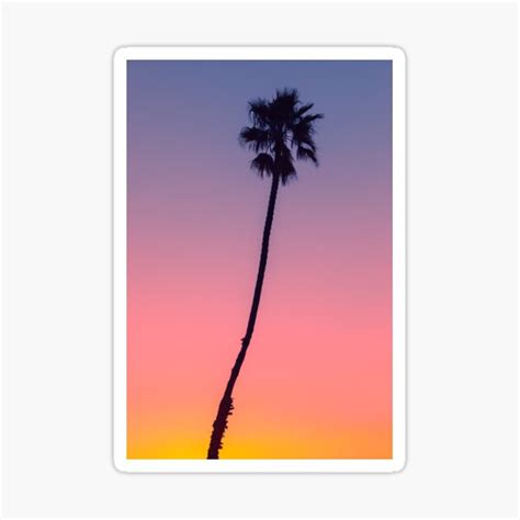 Pink And Purple Sunset Palm Tree Sticker For Sale By Newburyboutique