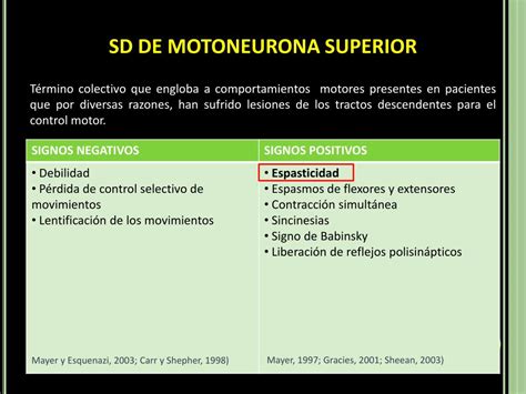 Ppt Espasticidad Bases Neurofisiopatologicas Powerpoint Presentation