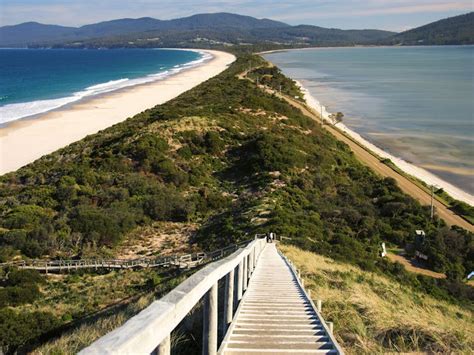 Bruny Island Neck Discover Tasmania