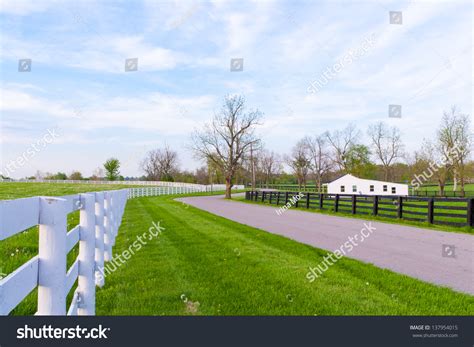 Country Road Surrounded Horse Farms Spring Stock Photo 137954015