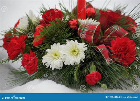 Red And White Christmas Flower Arrangement Stock Photo Image Of