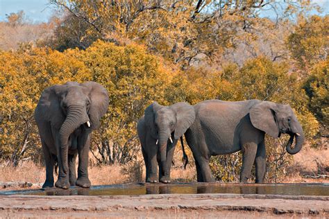 How Is Kruger National Park