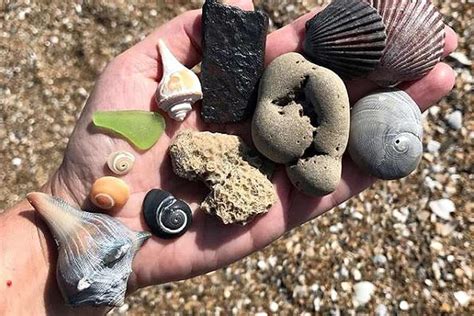 Beachcombing On The Outer Banks May Bring A Surprising Find Saga