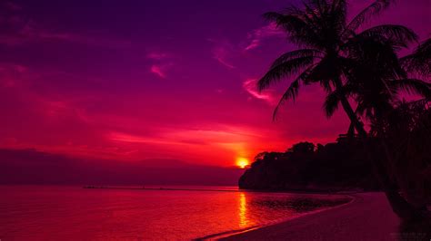Pink Beach Sunset Wallpaper Images