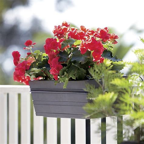 Our diverse selection includes options for narrow railings as well as wide deck rails. Alfresco Rectangular Rail Planter and Rail Planter Hook | Hanging plants, Window box flowers ...