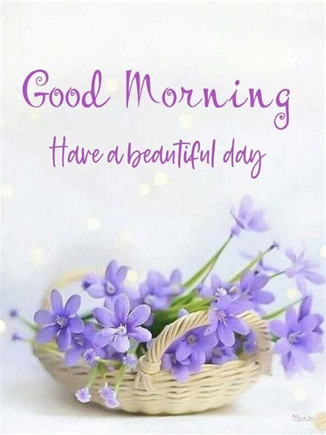 Best Purple Flower With Morning Wishes Good Morning