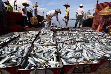 Wto Trade Ministers To Deliberate Fishing Subsides To Developing