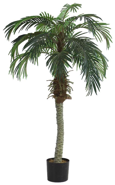 Faux Miniature Palm Tree For Sale In Ct Middlebury Furniture And Home