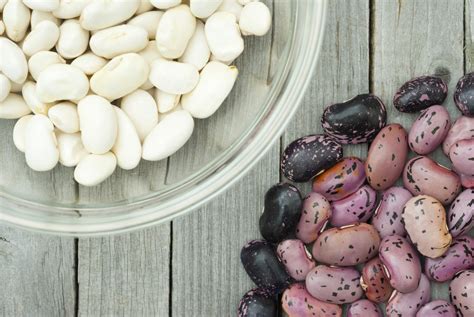 10 Common Types Of Beans To Cook With Sodelicious So Delicious