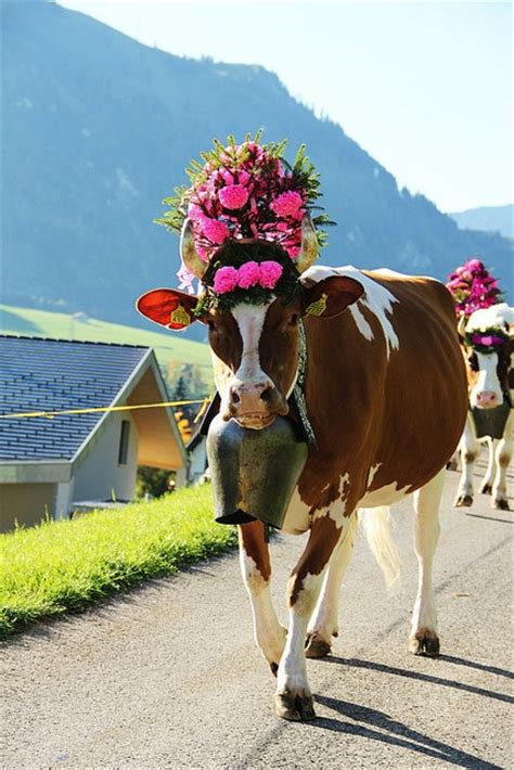 151 Best Images About Alpen Folklor On Pinterest
