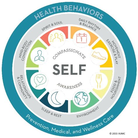 The Wheel Of Health The Osher Center For Integrative Medicine Download Scientific Diagram
