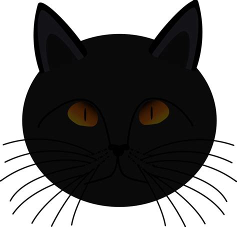 Free Cat Face Transparent Background Download Free Cat Face