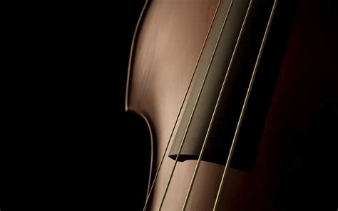 Free Download Violin Shape Strings Elegant Refined Free Stock Photos