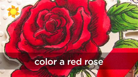 Rules for survival full guides. Coloring a red red rose (Copic markers) - YouTube