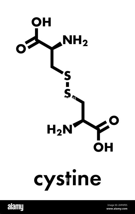 Cystine Molecule Oxidized Dimer Of The Amino Acid Cysteine Skeletal