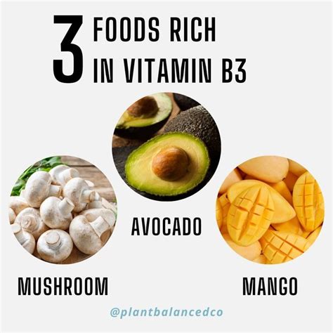 Vitamin Rich Foods You Can Easily Add To Your Daily Menu 🏆 Adjustments