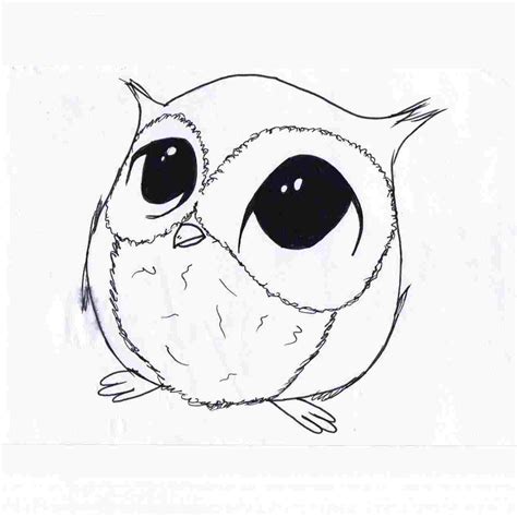 46 Sketch Easy Owl Background Basnami