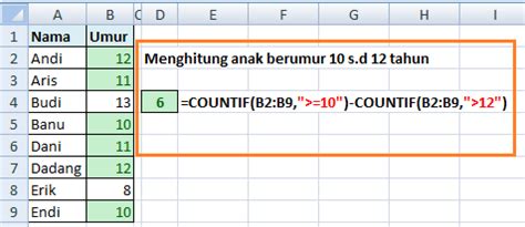 Rumus Excel COUNTIF Menghitung Sel Dengan Syarat