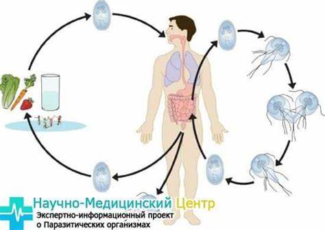 Диета когда лямблиоз