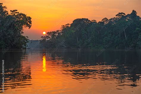 Reflection Of A Sunset By A Lagoon Inside The Amazon Rainforest Basin