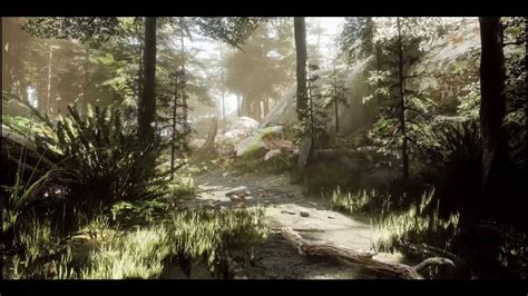Realistic Forest Scene Youtube