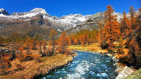 Wallpaper Italy Nature Scenery Trees Snow Mountains