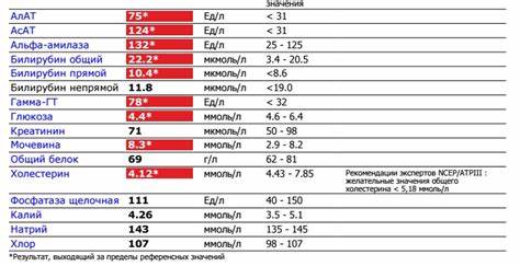 Какая Диета При Повышенном Алт И Аст — Похудение Диета Правильное Питание Картинка - Какая Диета При Повышенном Алт И Аст — Похудение Диета Правильное Питание