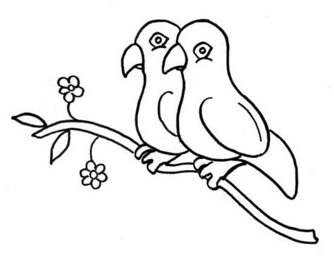 Mewarnai Sketsa Gambar Burung Lovebird Mudah Bagus