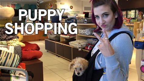 Shopping For My Puppy Youtube