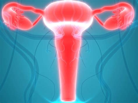 Enlarged Uterus Causes Symptoms And Treatment