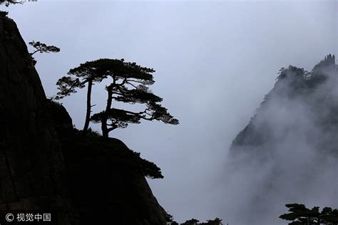 Spectacular Sea Of Clouds At Huangshan Mountain 1
