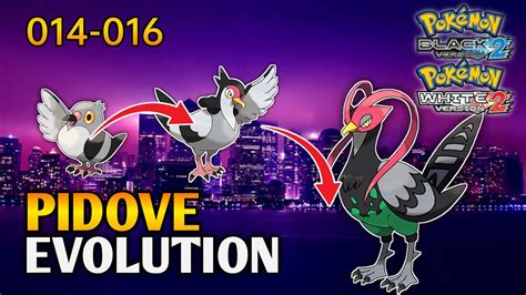 Pokemon Black 2 And White 2 How To Evolve Pidove Into Tranquill Then