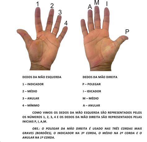 Significado De Cada Dedo Da Mão Edulearn