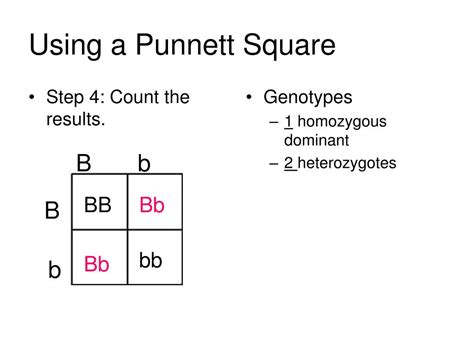 PPT Probability Punnett Squares PowerPoint Presentation Free