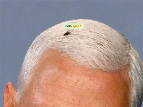 Twitter Reacts To Fly Landing On Mike Pence Dubbing Him Lord Of The Flies