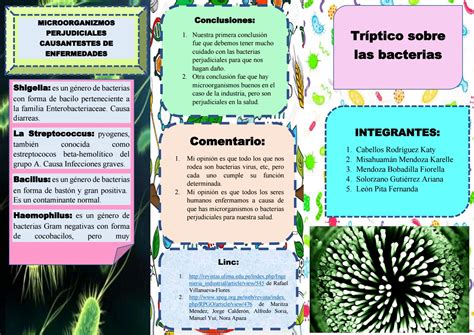 Triptico De Bacterias By Misahuaman Mendoza Karelle Masiel Noemi Issuu Images
