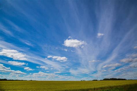 Sky Landscape Stock Photo Image Of Colored Natural 240127870