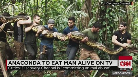 Anaconda To Eat Man Alive On Tv Cnn Video