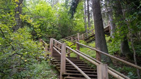 Narrow Wooden Path Winding Through Forest Picture Of Stairs On A Hill