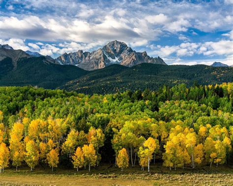 Autumn Photo Colorado United States Beautiful Nature Forest With Pine