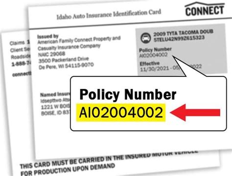 Policy Number Insurance Card Car Insurance With A Suspended License