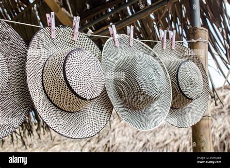 Sombreros Panamenos Fotografías E Imágenes De Alta Resolución Alamy