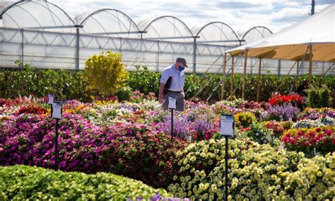 Costa Farms Offers Look At 2023 Plant Varieties Produce News