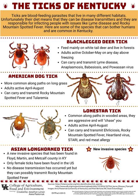 As Ky Tick Population Grows How To Play It Safe Outside Lexington